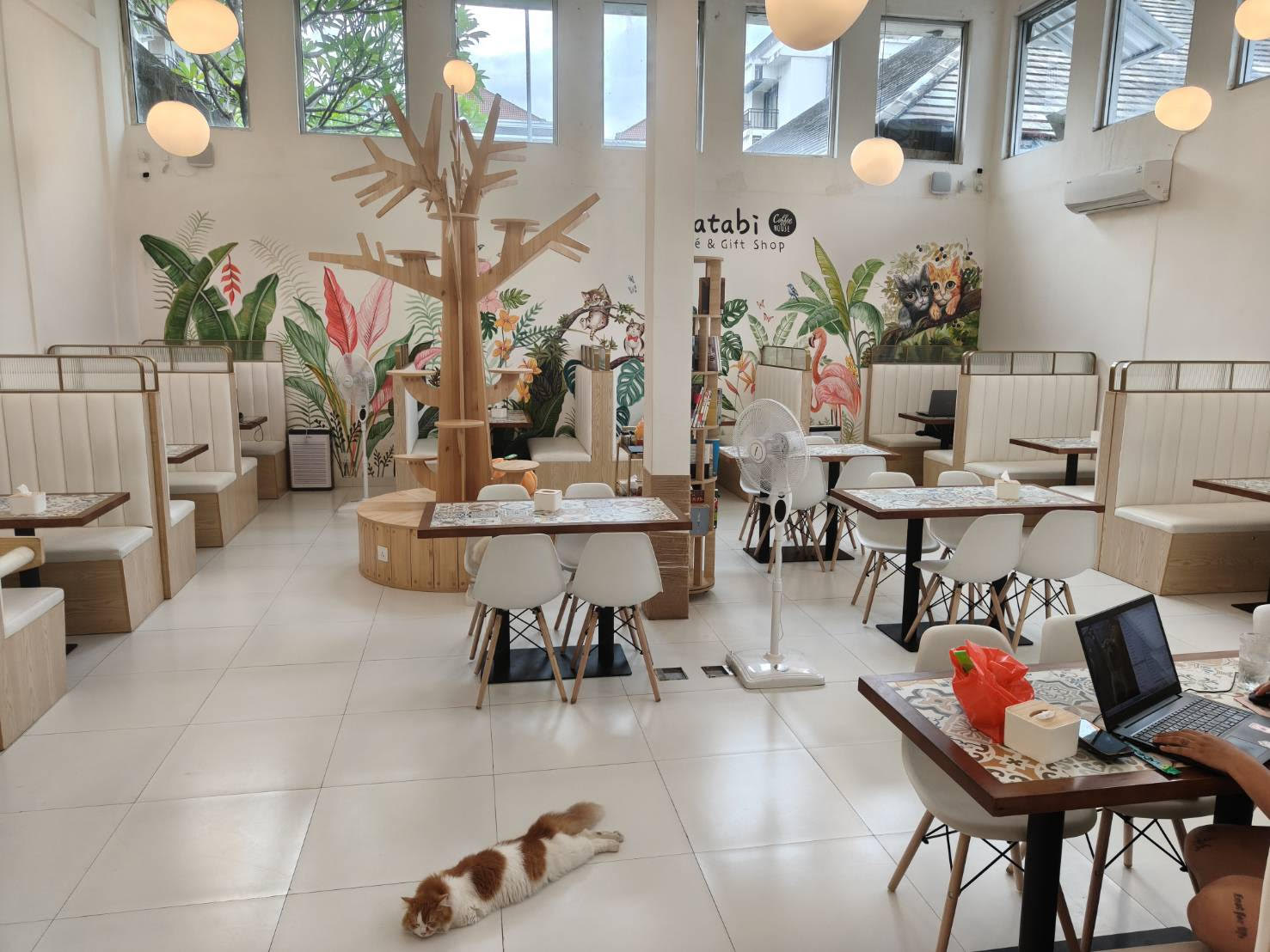 Interior of Matabi Cat Cafe in Legian, Bali — bright open space with tropical murals, cat tree, and a cat resting on the floor